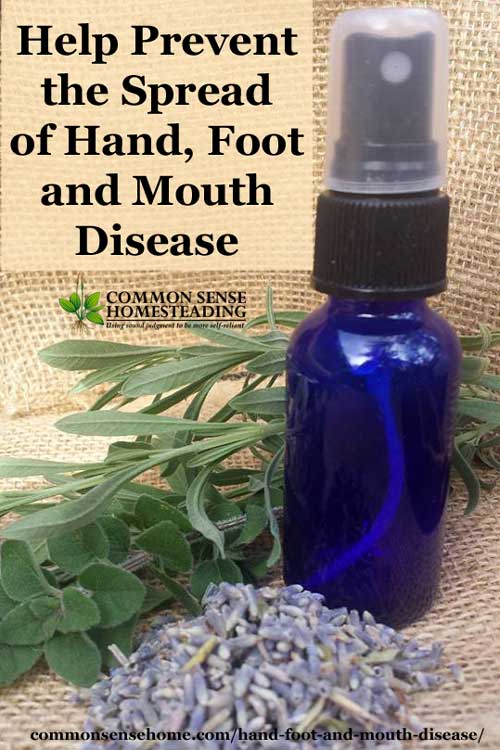 Antibacterial Spray to Help Prevent the Spread of Hand, Foot and Mouth Disease