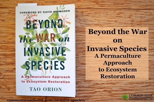 Beyond the War on Invasive Species – A Permaculture Approach to Ecosystem Restoration