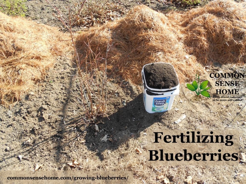 Image of Peat moss mulch for blueberry bushes