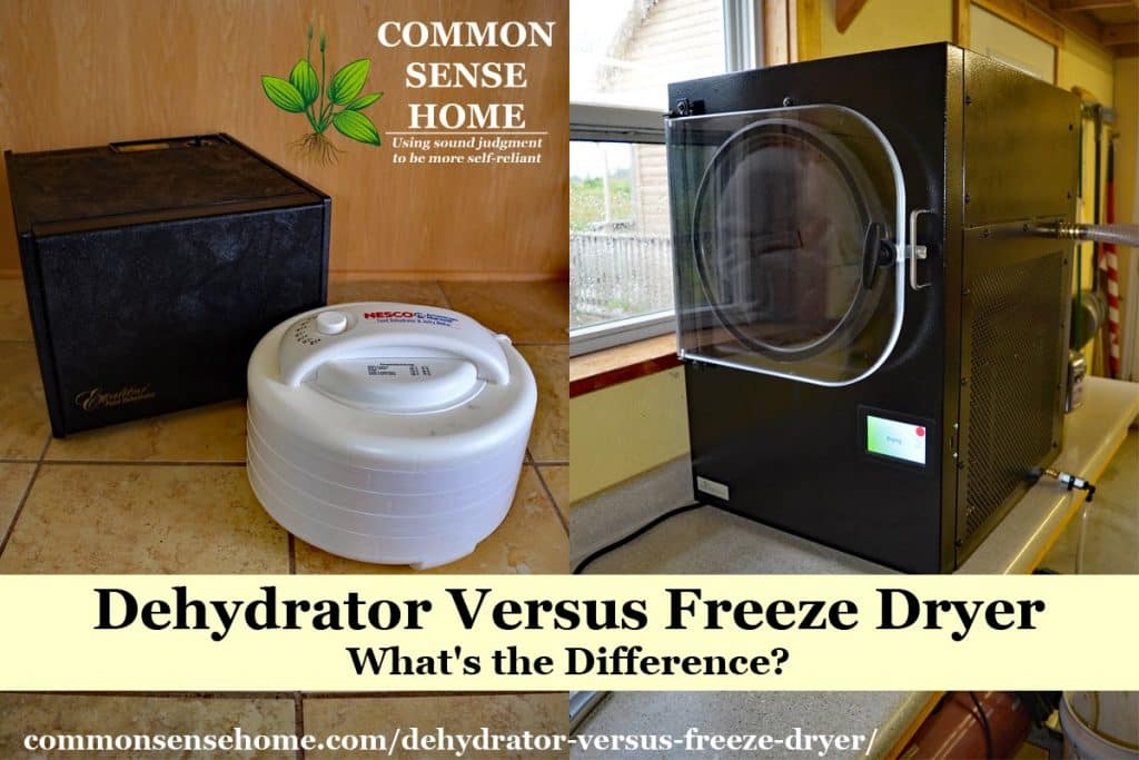 dehydrator versus freeze dryer