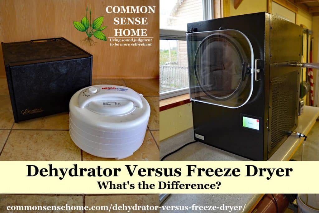 Freeze dryer vs. dehydrator: Which one is right for you?