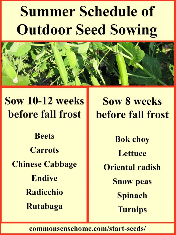 Direct Sow Or Transplant Chart