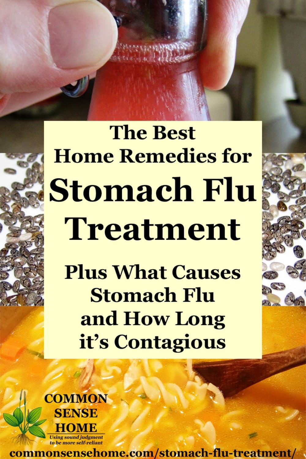 The Best Home Remedies For Stomach Flu Treatment