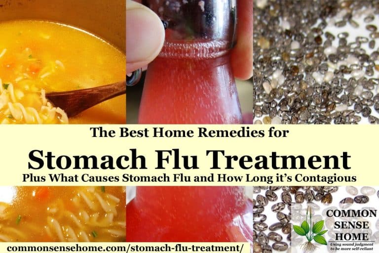 stomach flu treatments