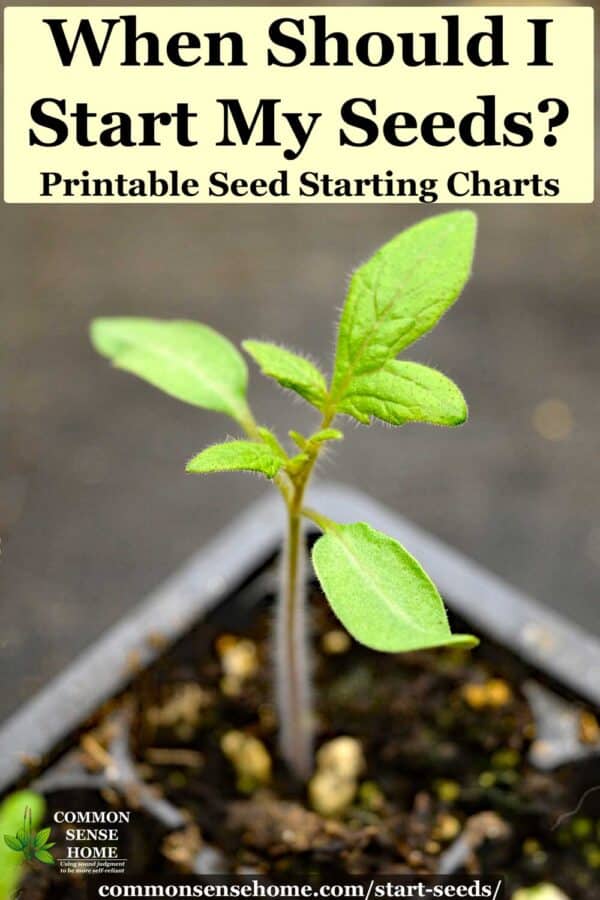 When To Plant Seeds Chart