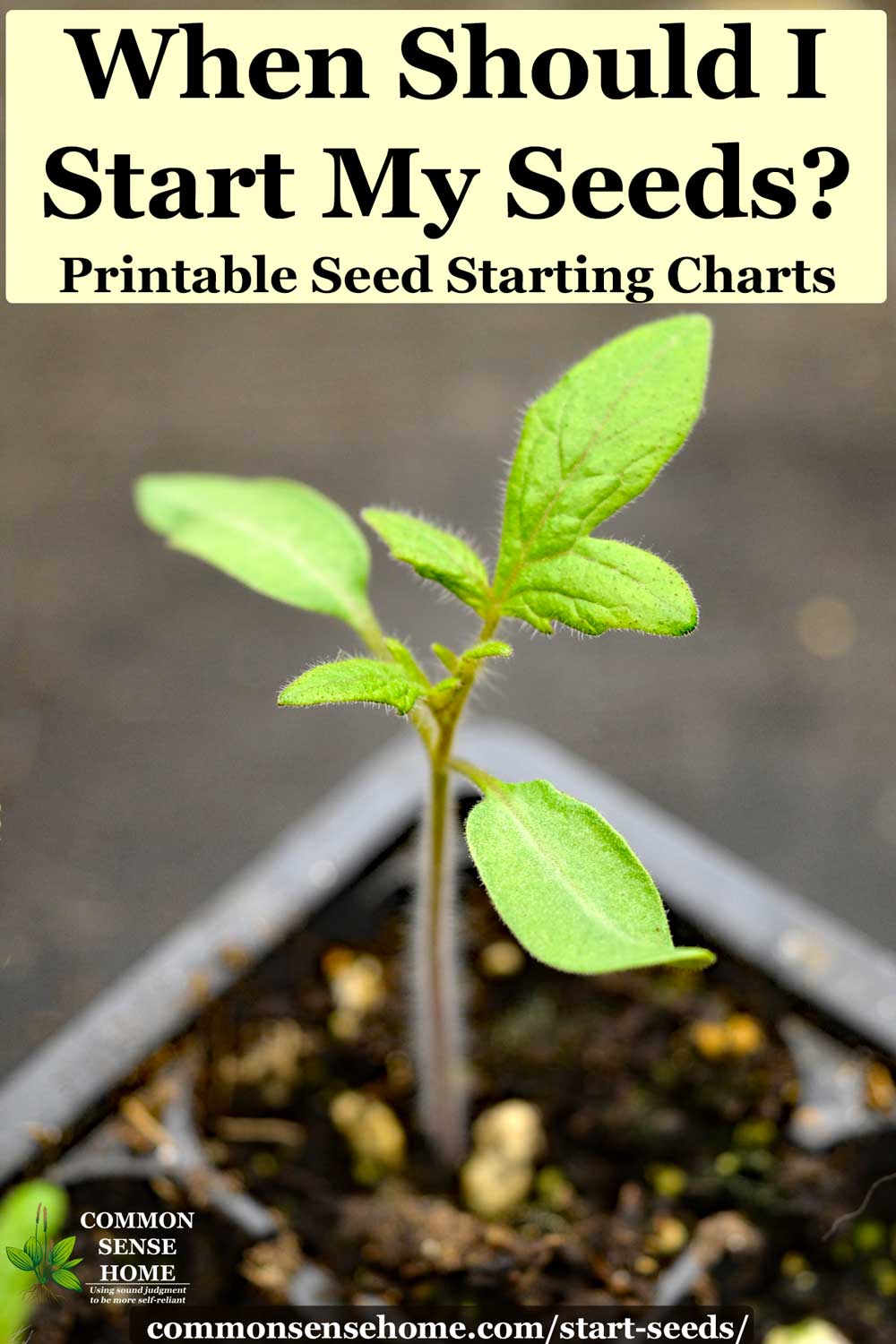 tomato seedling - text" When should I start my seeds? Printable Seed Starting Charts"