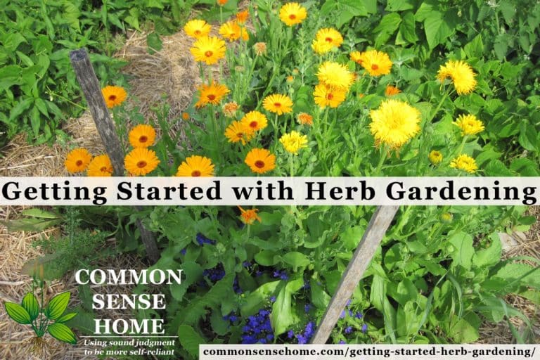 Getting Started Herb Gardening