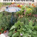 Herb gardening is a wonderful addition to any home or backyard. Learn the basics of adding herbs to your garden for food, medicine and just pure enjoyment.