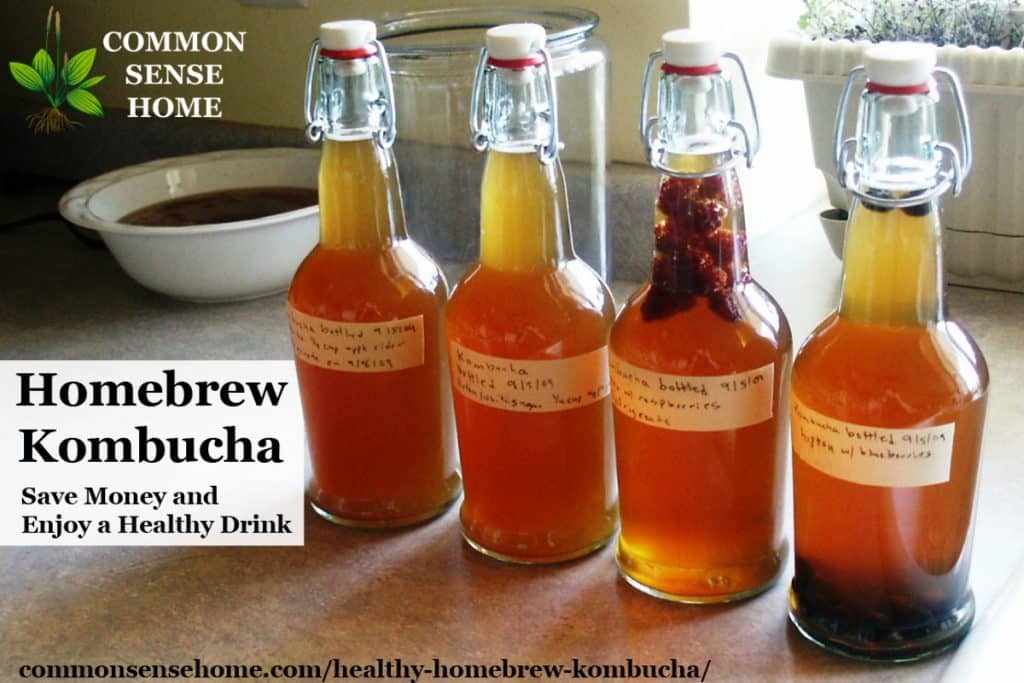 My first experience with homebrew kombucha - step by step kombucha brewing instructions, plus a quick explanation of some kombucha health benefits.