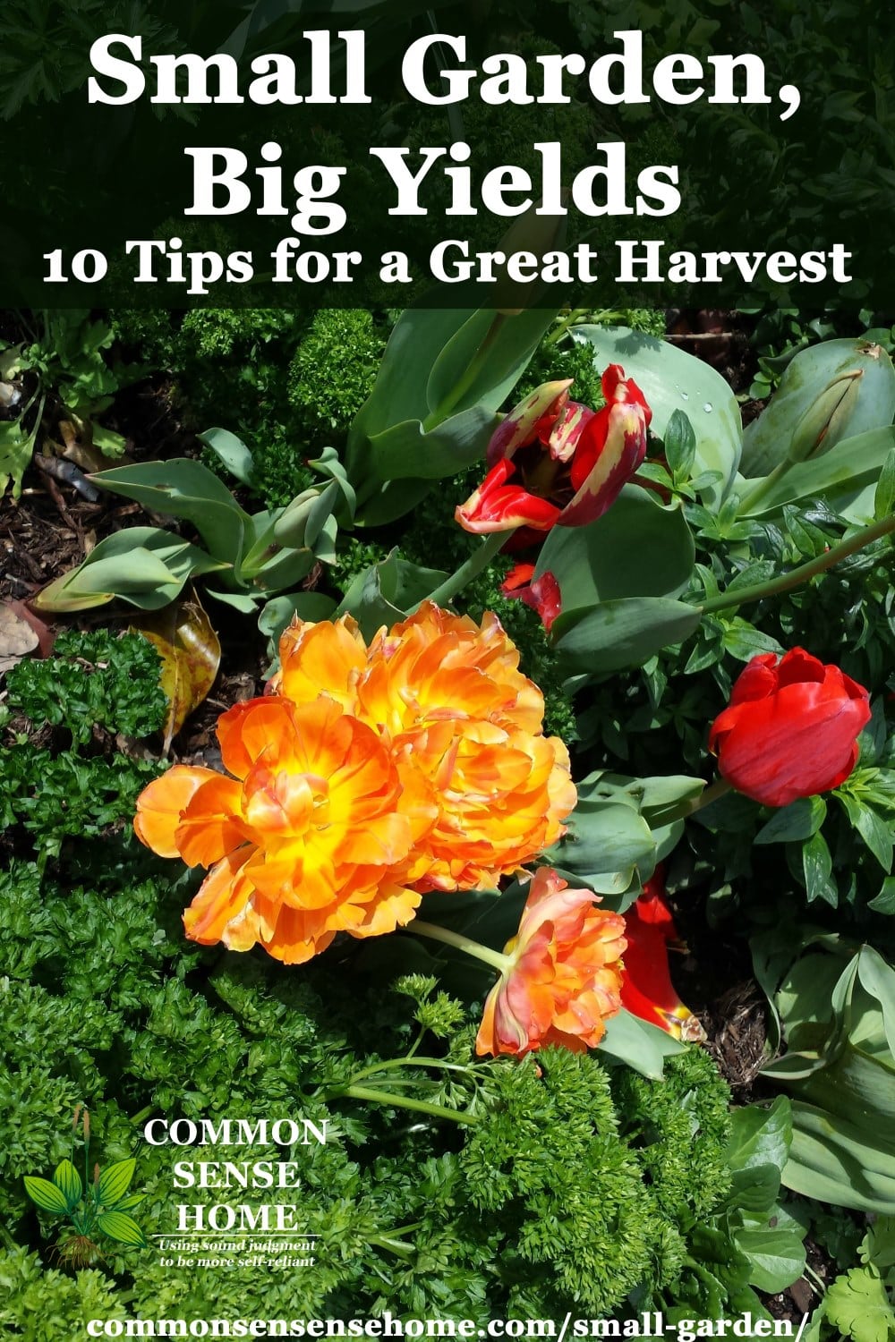 Small Garden Ideas 10 Tips To Grow More Food In Less Space