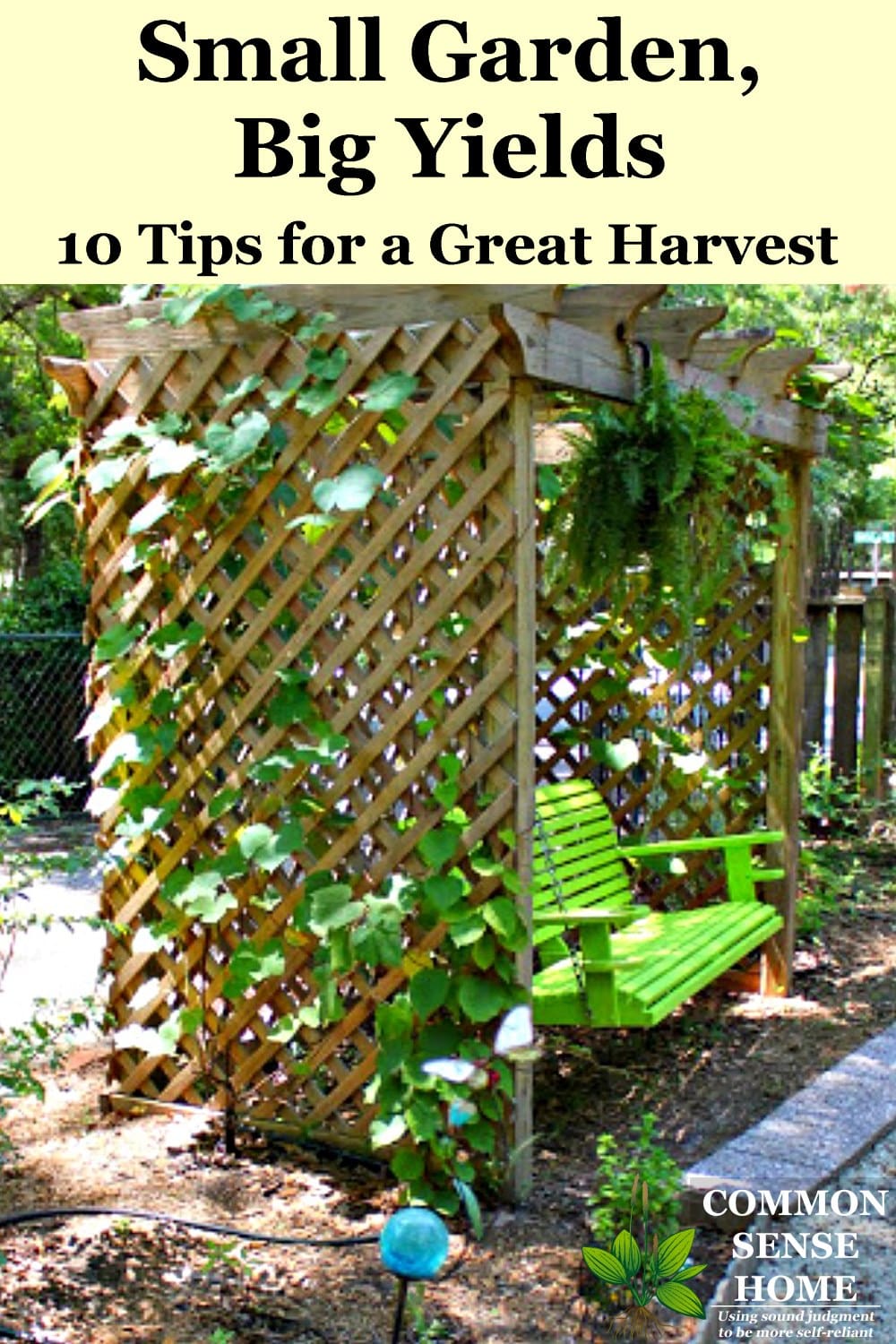 Vining plants on trellis over swing in small garden edible landscape