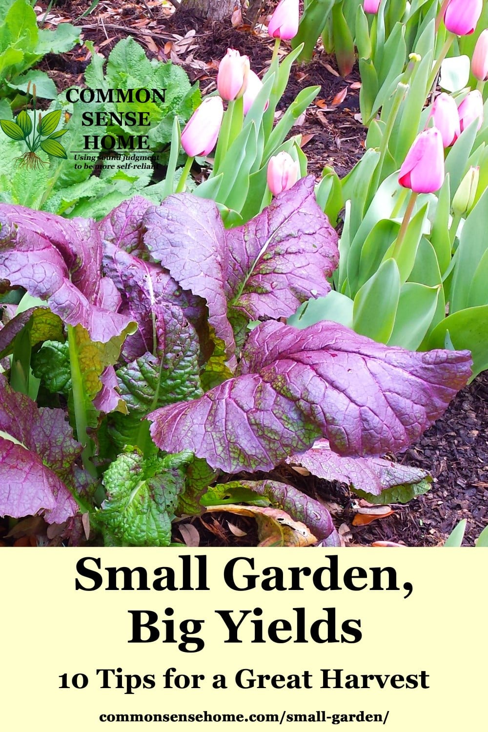 small garden planting featuring pink tulips in background and leafy greens in foreground