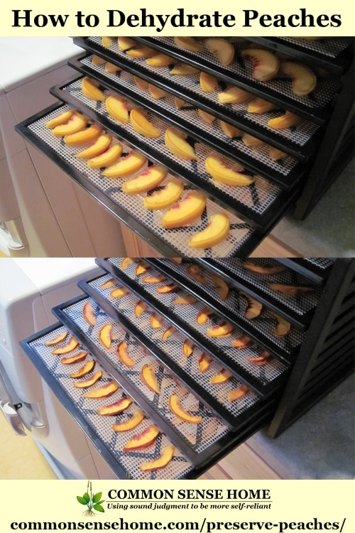 Peaches loaded in a dehydrator