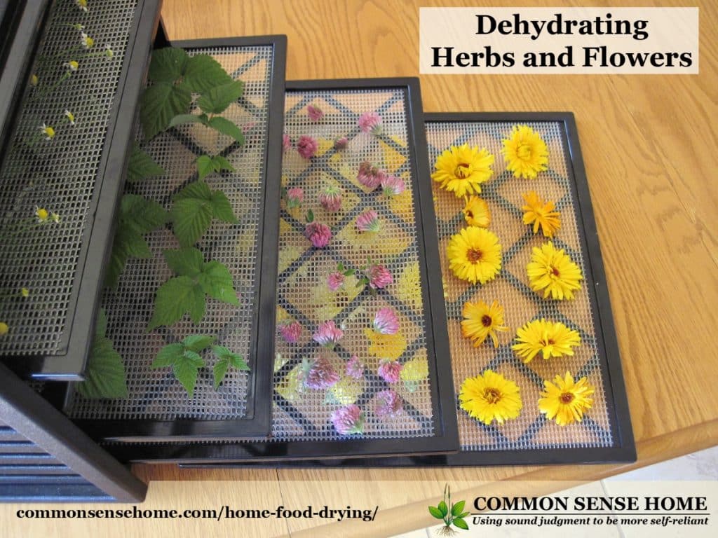 Dehydrator with its trays out and loaded with herbs.