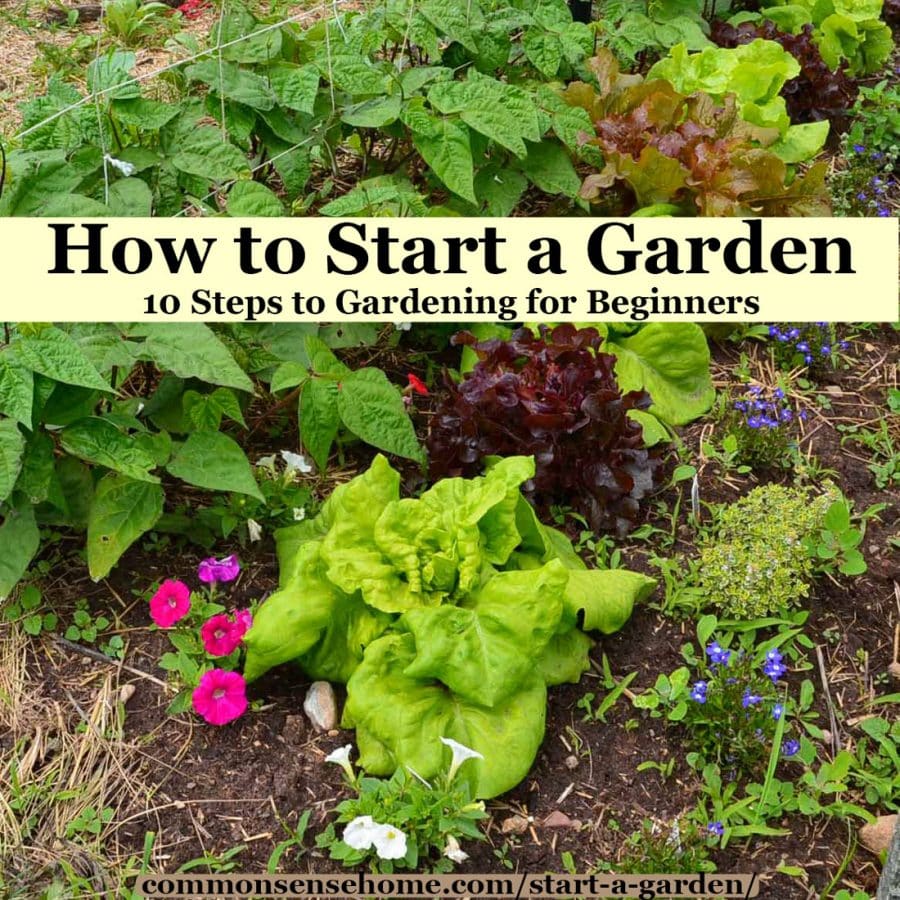 How do I start a garden from nothing?