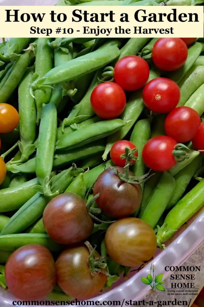 Peas and tomatoes in bin