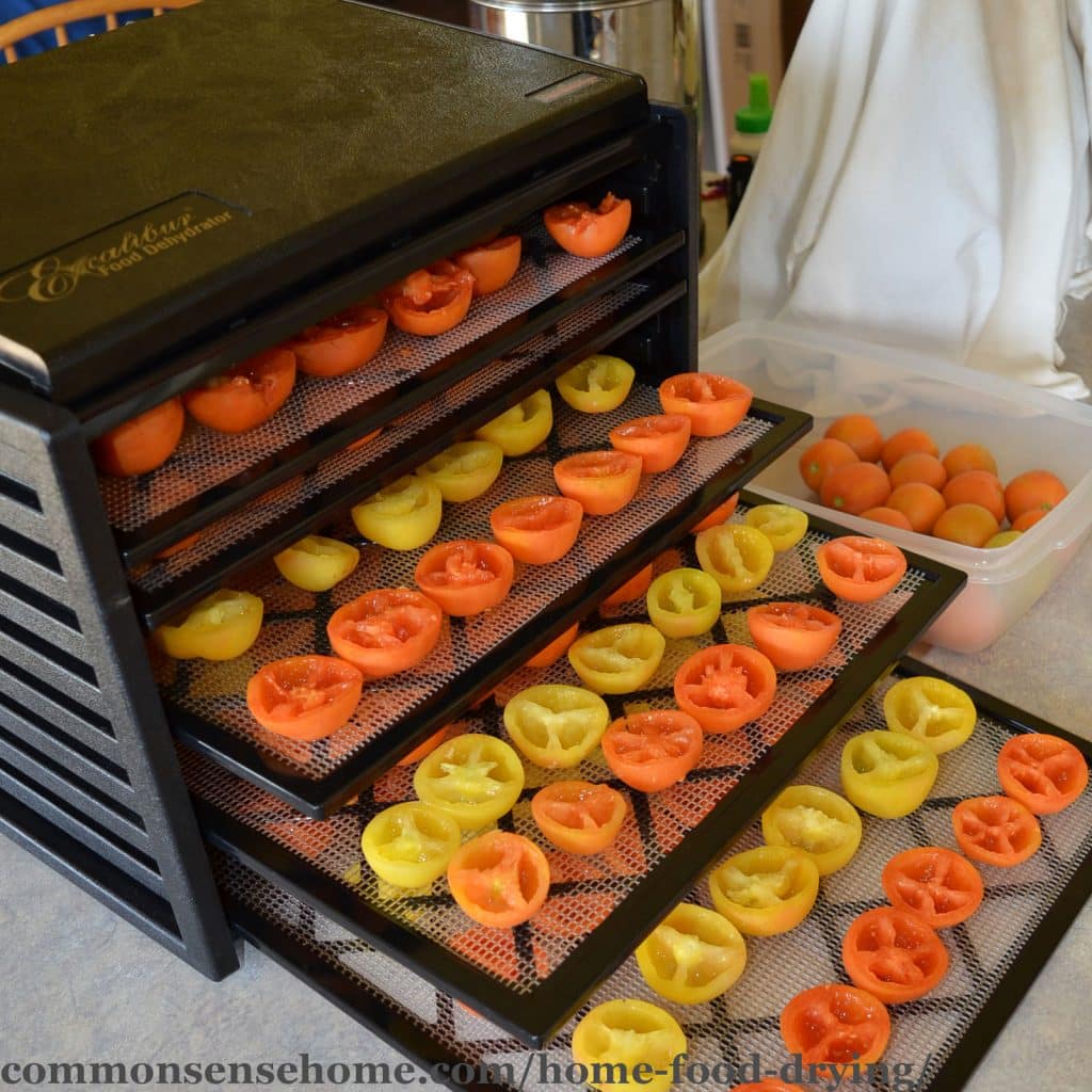 Home food drying tomatoes in an Excalibur dehydrator