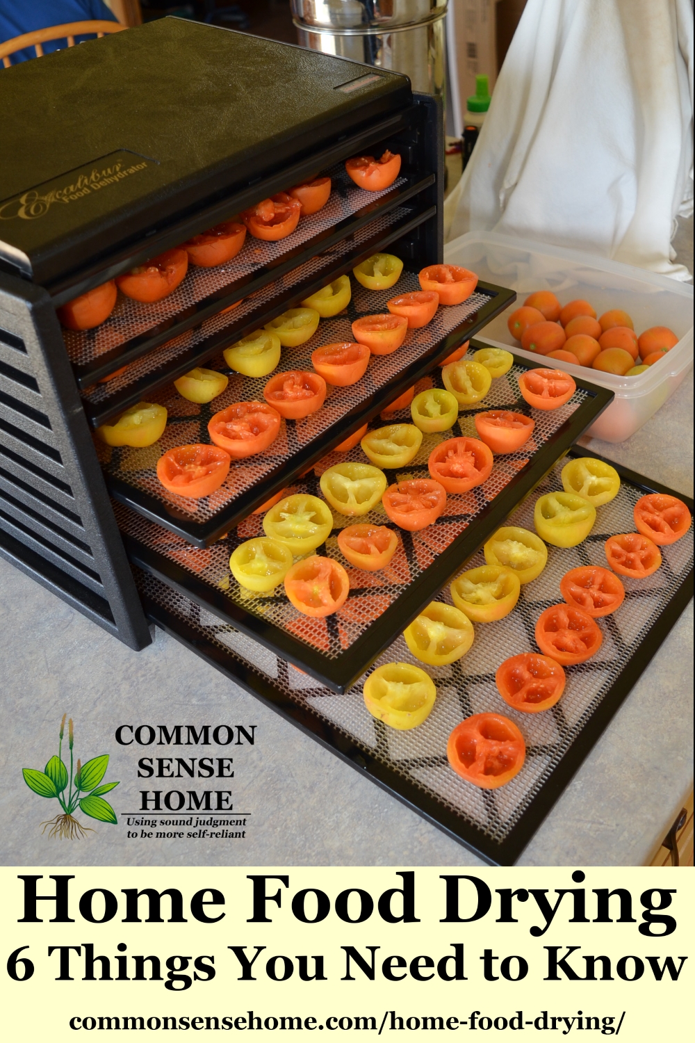 Dehydrator loaded with tomatoes