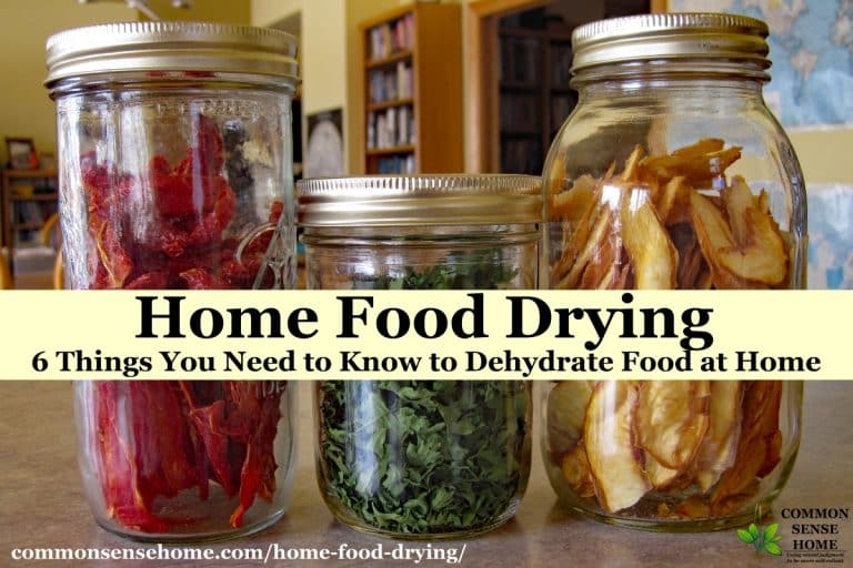 Home Food Drying 6 Things You Need to Know
