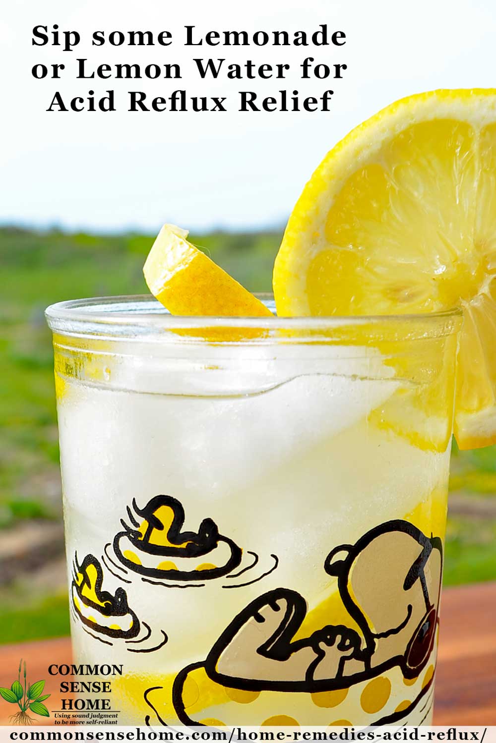 Glass of lemonade for acid reflux treatment