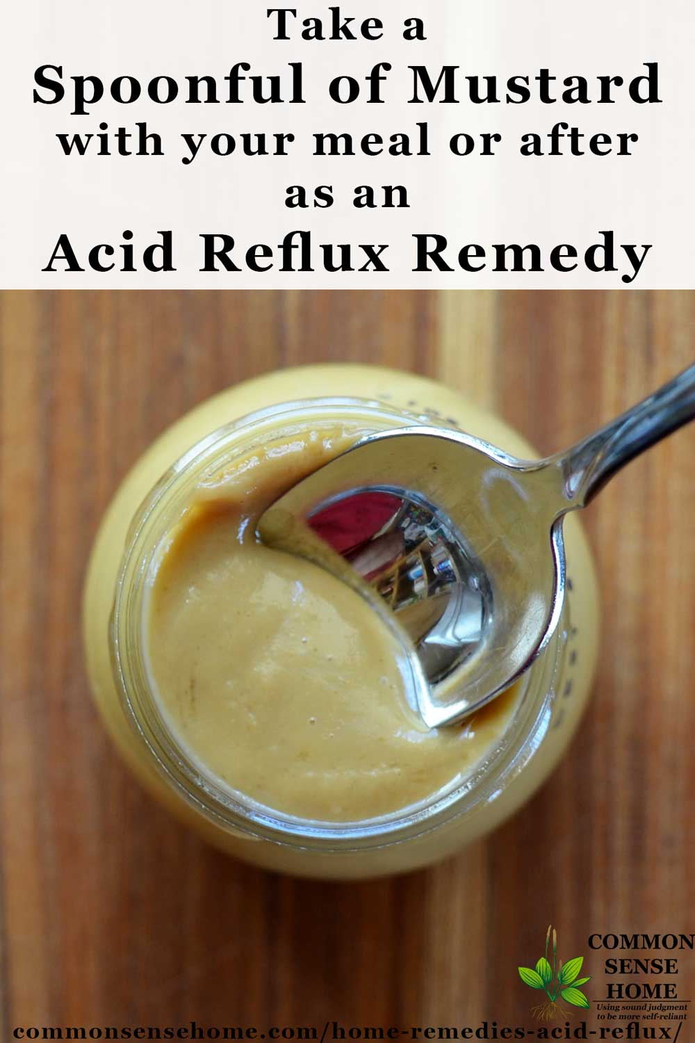 Homesteading Alliance: 10 Home Remedies for Acid Reflux ...