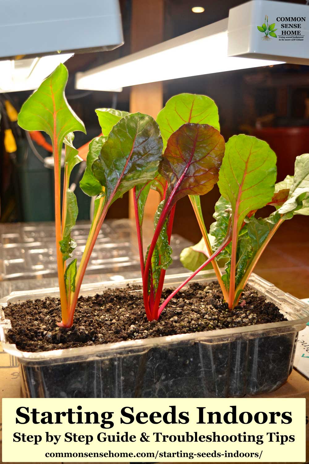 starting seeds indoors