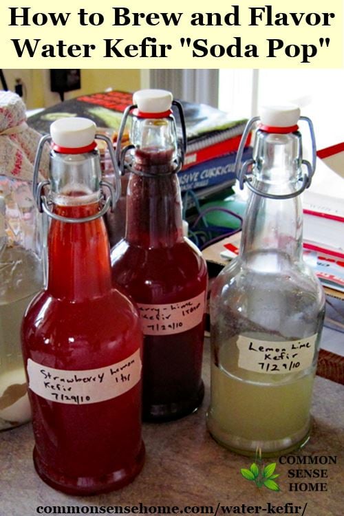 Water kefir bottles