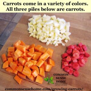 Growing Carrots - From Planting to Harvest