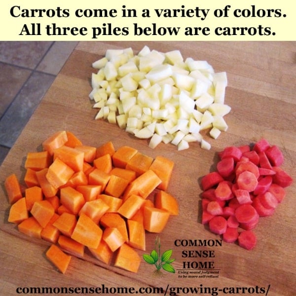 Chopped carrots in three different colors - white, red and orange, sitting on cutting board