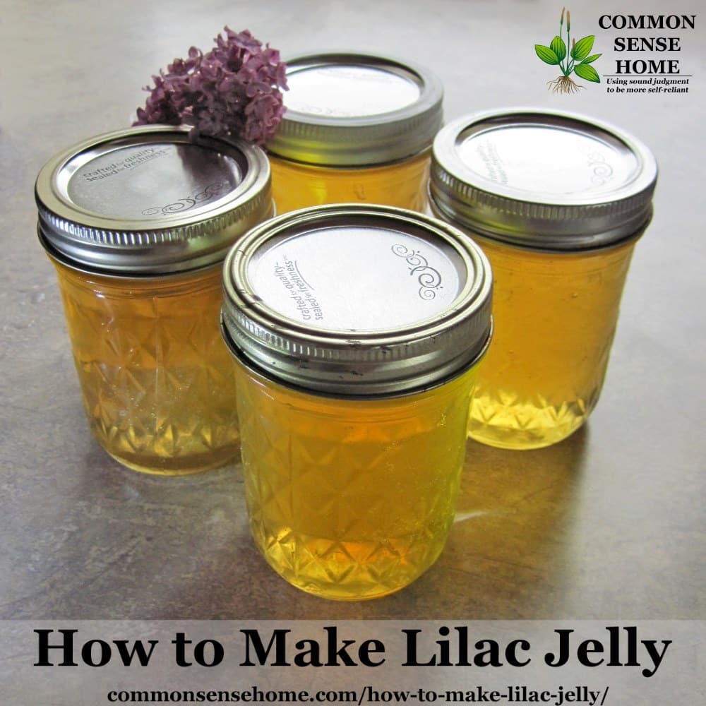 four jars of lilac jelly with a small cluster of lilac flowers