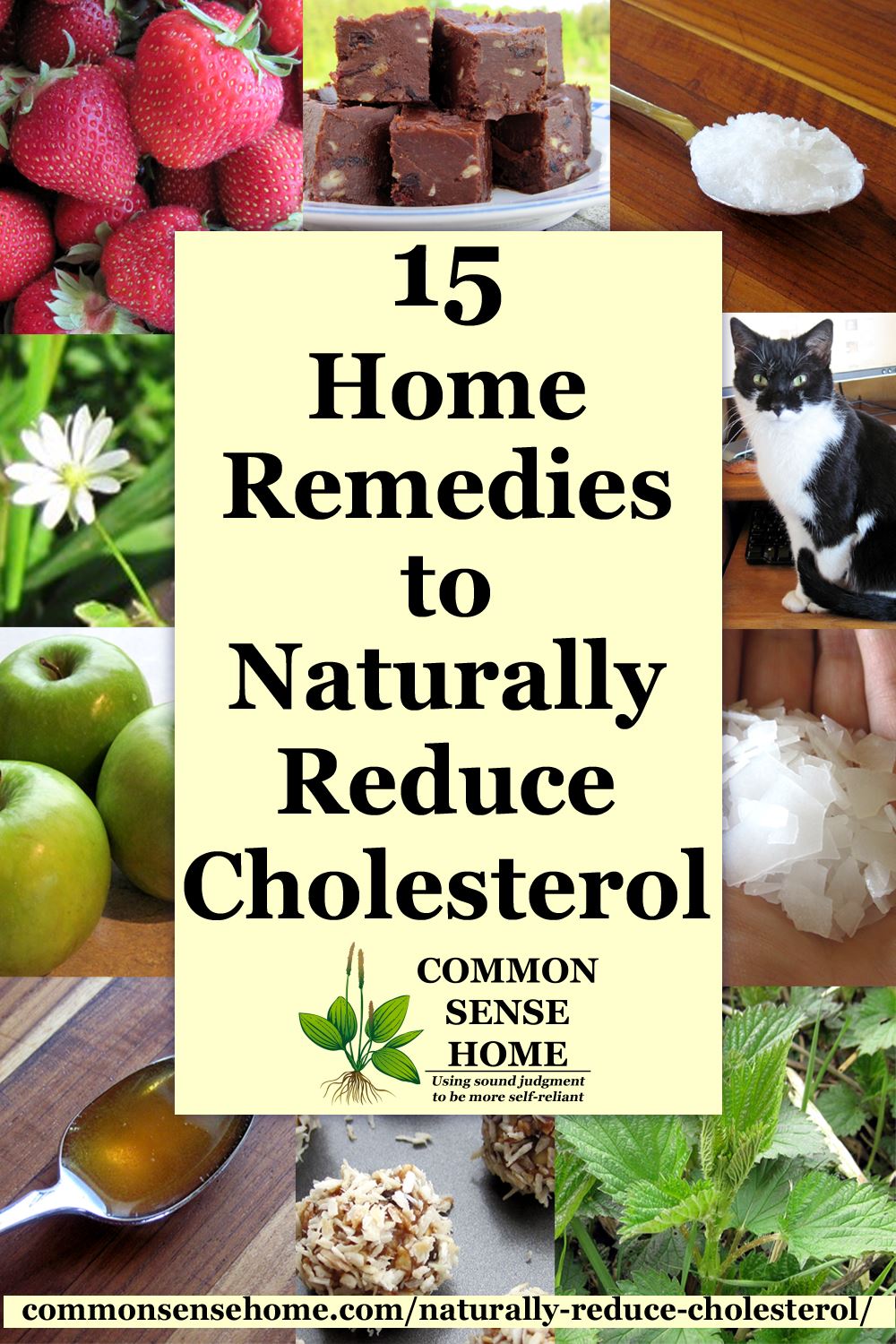 Collage of home remedies to reduce cholesterol