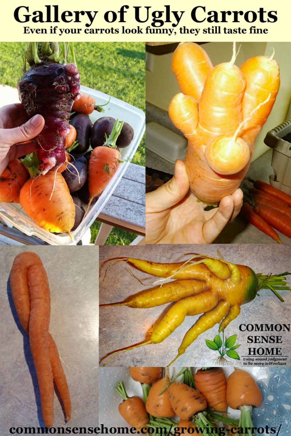 Ugly carrots