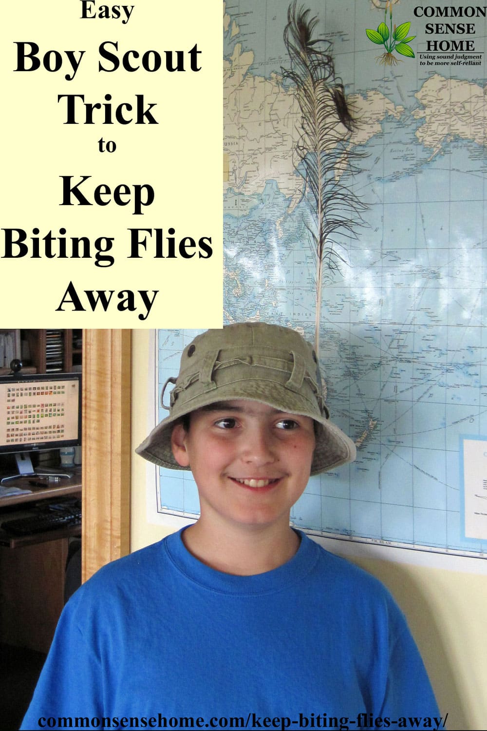 Deer Fly Control And Deterrent Tips To Keep Biting Flies Away