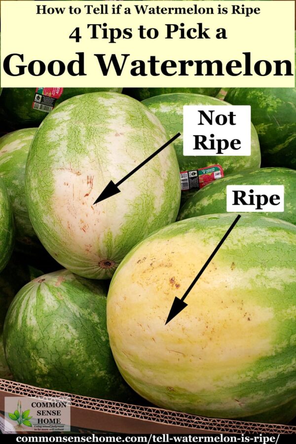 How to Tell if a Watermelon is Ripe 4 Tips to Pick a Good Watermelon