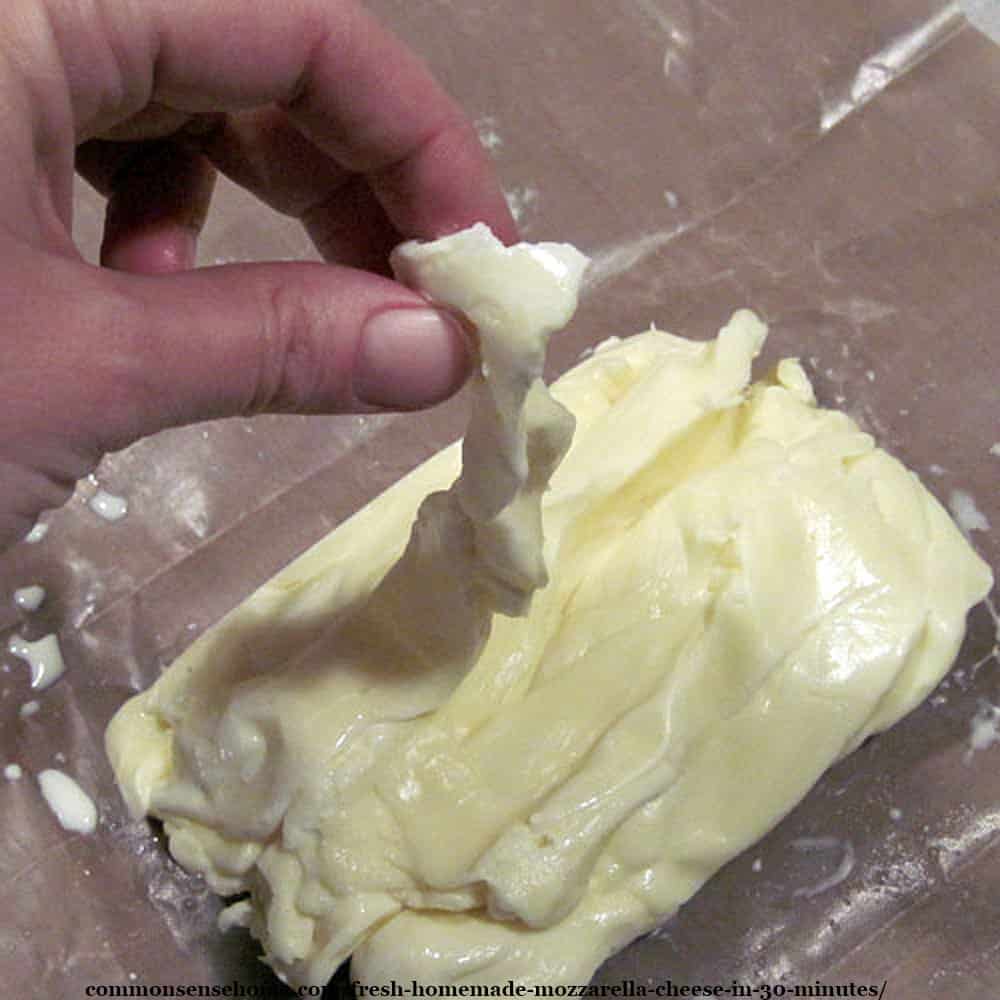 Homemade mozzarella string cheese 