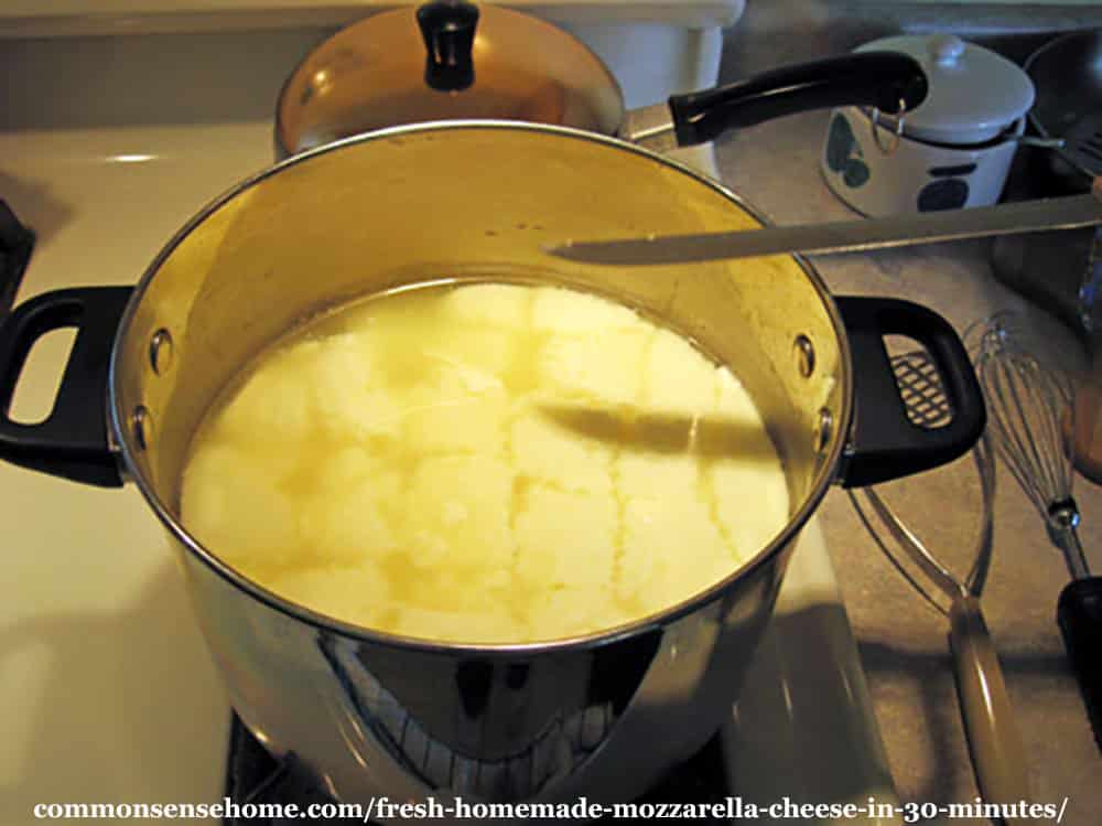 Large pot filled with homemade mozzarella cheese in progress, waiting for the curd to set