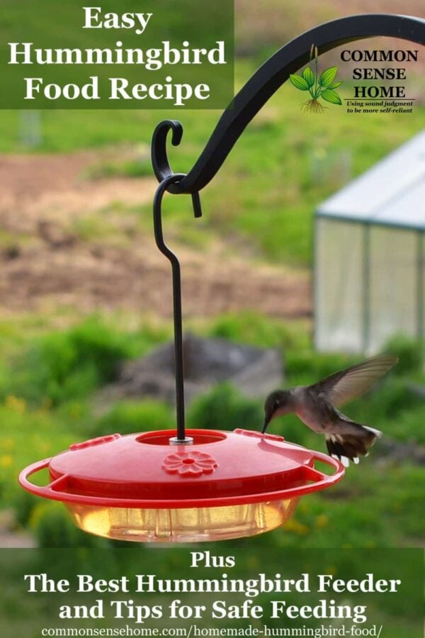 homemade hummingbird food in feeder with hummingbird