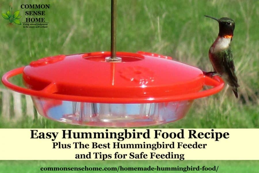 hummingbird food recipe