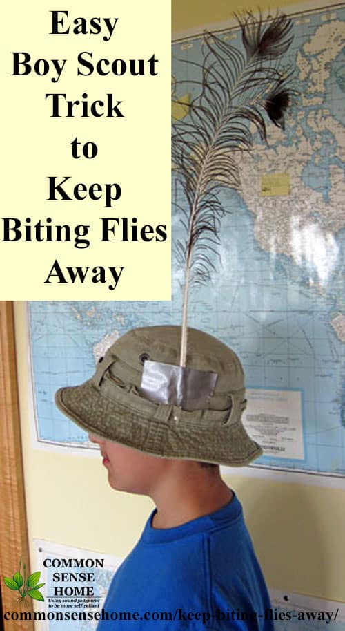 Deer Fly Control And Deterrent Tips To Keep Biting Flies Away