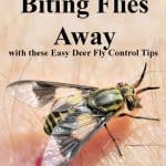 deer fly on skin with text overlay "keep biting flies away"