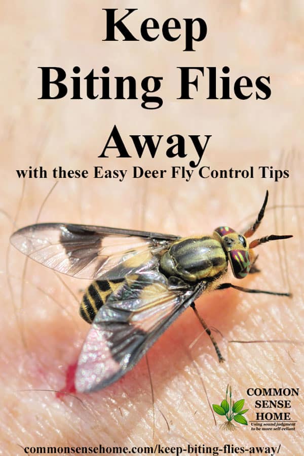 Deterrent Tips to Keep Biting Flies Away