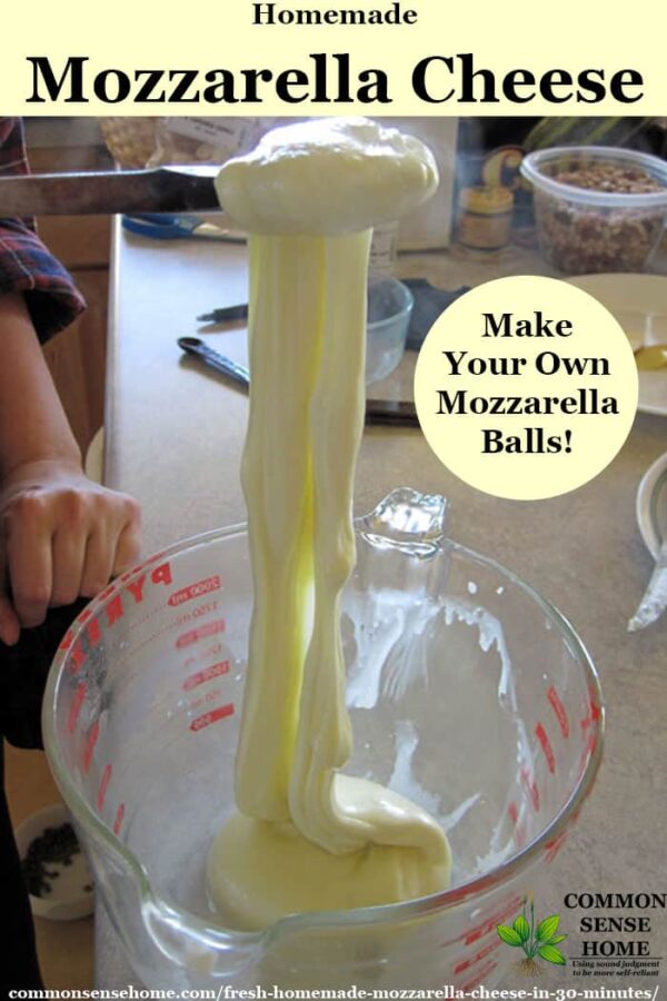 Fresh Homemade Mozzarella Cheese Recipe Make Mozzarella Balls!