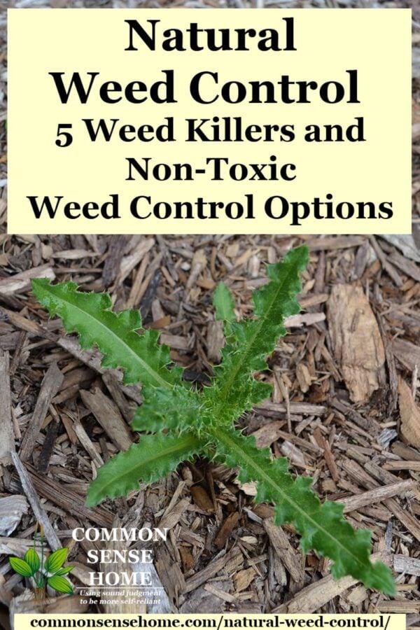 Natural Weed Control - Non-Toxic Weed Control Options