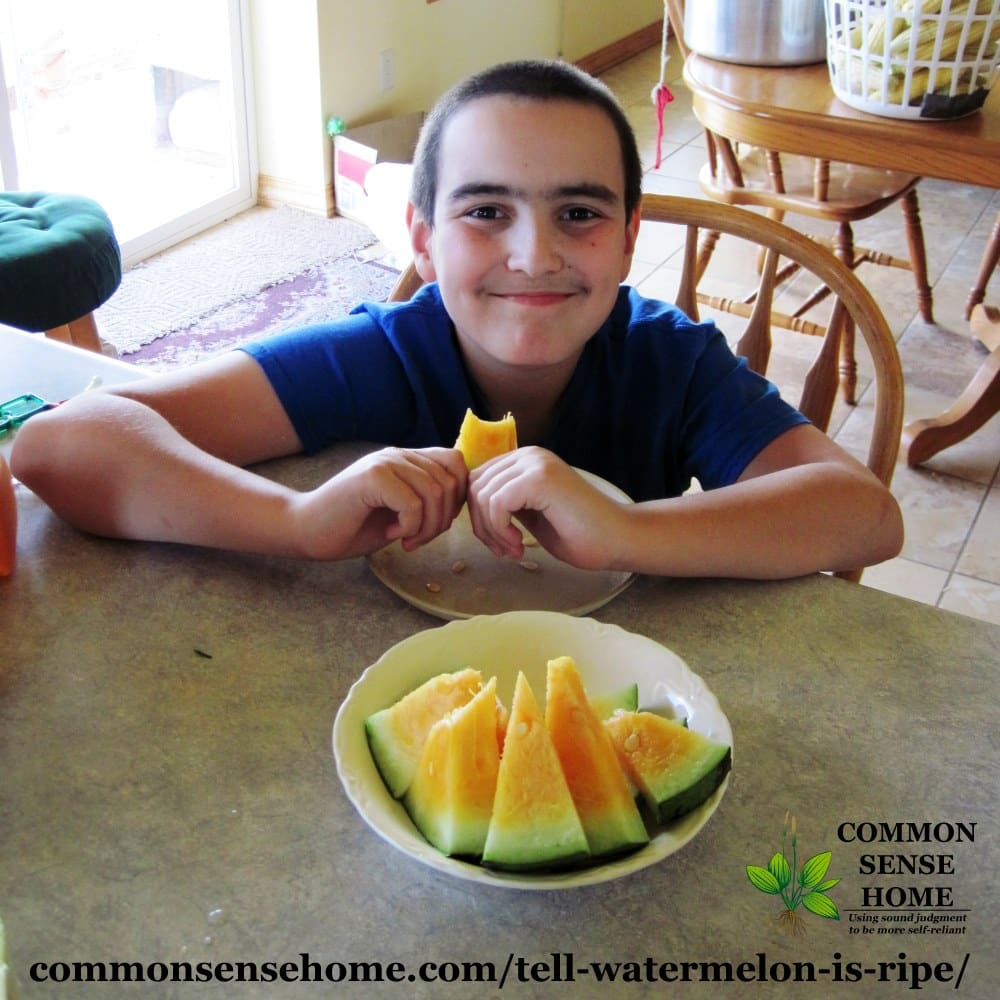 young boy eating ripe yellow watermelon