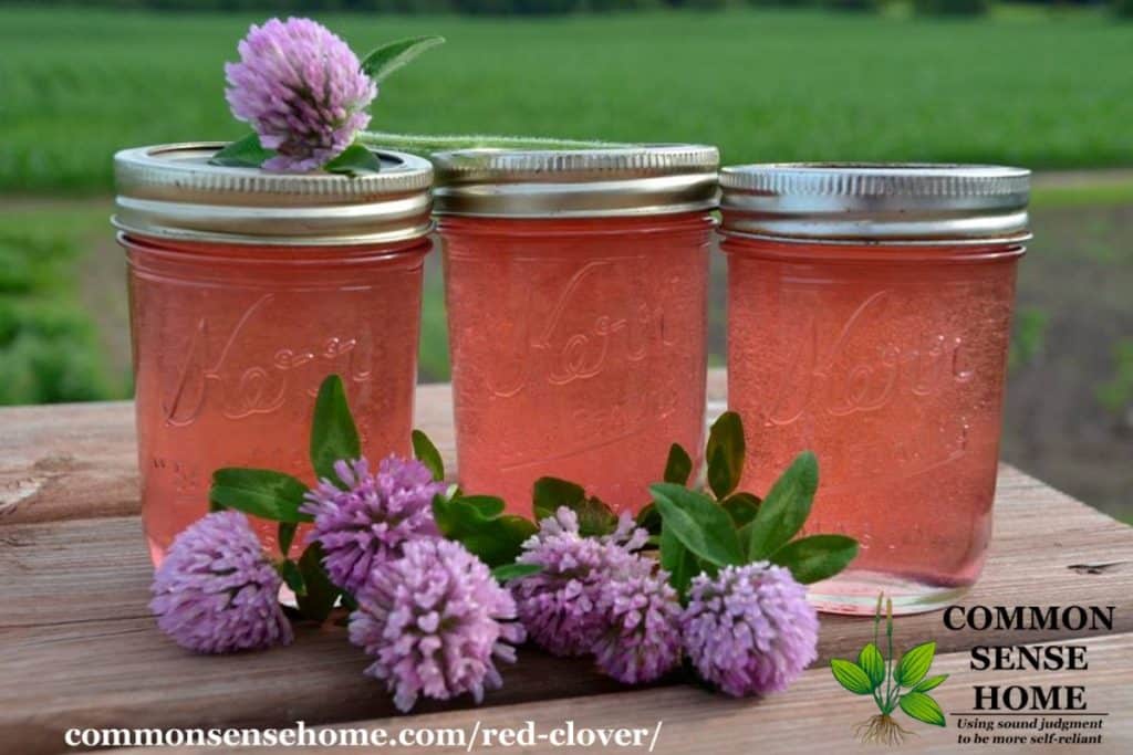 red clover jelly