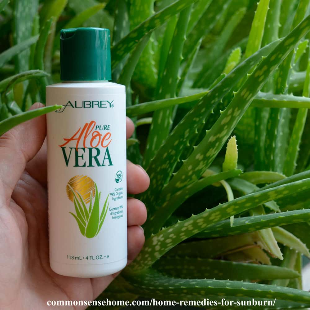 bottle of aloe vera for sunburn relief with aloe vera plant in background