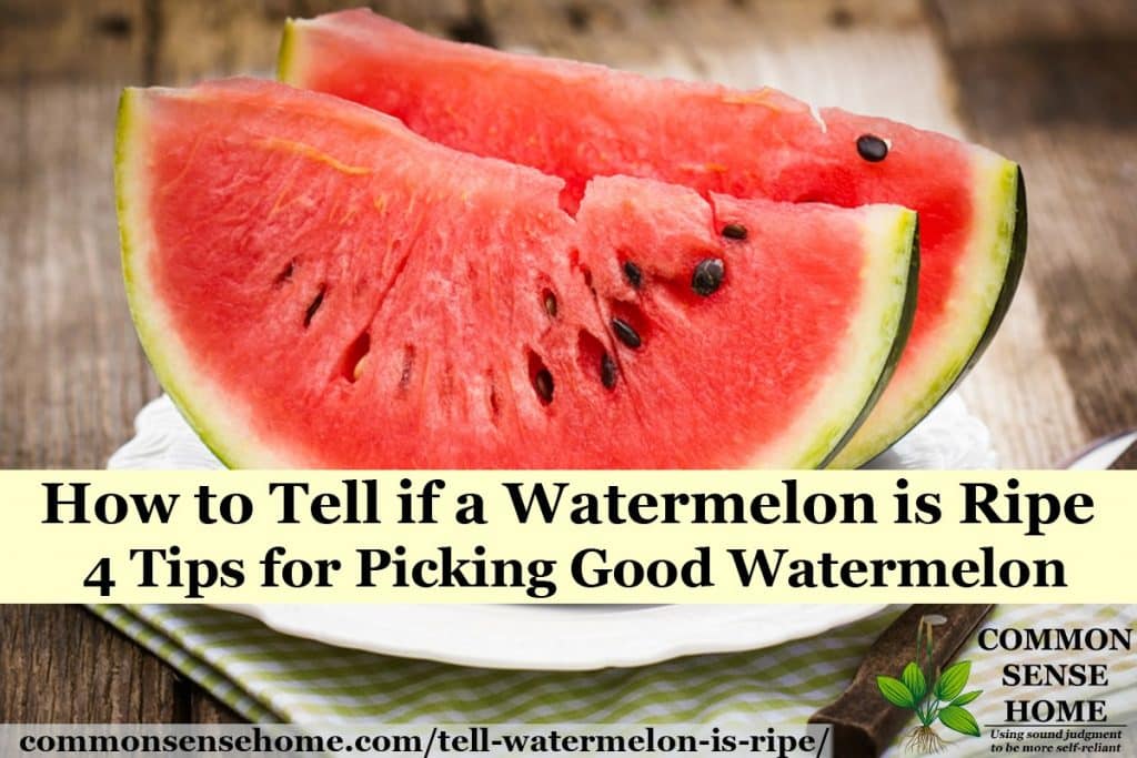 How to Tell if a Watermelon is Ripe - 4 Tips to Pick a Good Watermelon - watermelon slices on plate