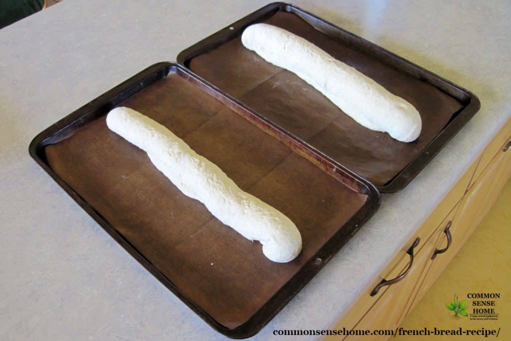 French bread loaves, unbaked