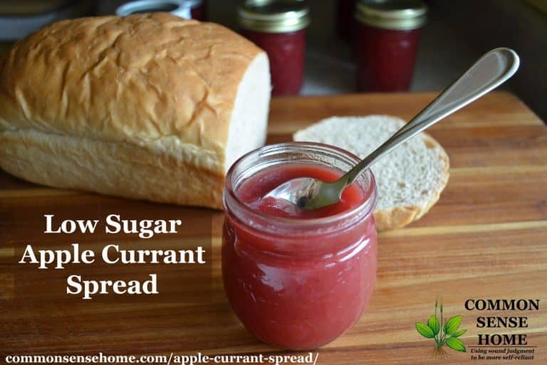 Apple Currant Spread – Low Sugar with a Touch of Cinnamon