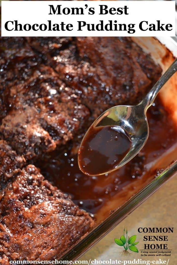 Mom's Best Chocolate Pudding Cake Recipe Easy, From Scratch